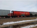 CN 111920 is new to RRPA!